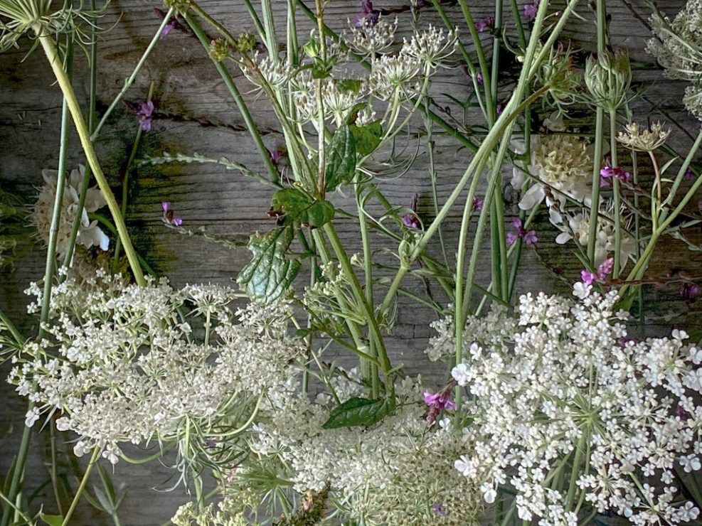 GARDENISTA – Prague – Czech Republic